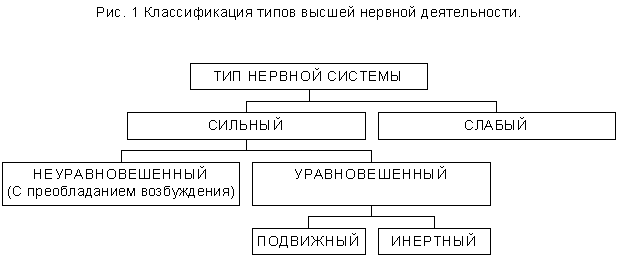 Реферат: Типы высшей нервной деятельности