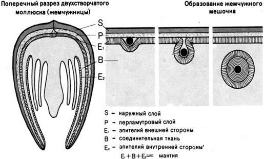 : http://www.jewellery.org.ua/foto08/imgs143.jpg