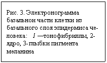 : . 3.  -    -   : 1 , 2-, 3-  