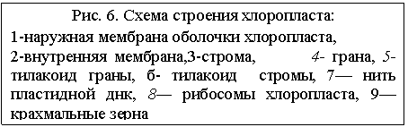 : . 6.   :
1-   ,
2- ,3-, 4- , 5-  , -  , 7  - , 8  , 9 -  
 

